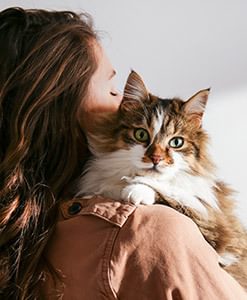 Cat And Owner