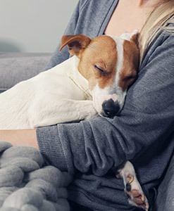 Dog And Owner