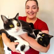 George and cats