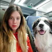 IMG 20231217 1607582