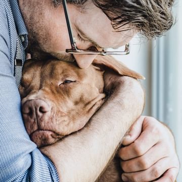Dog and owner hug