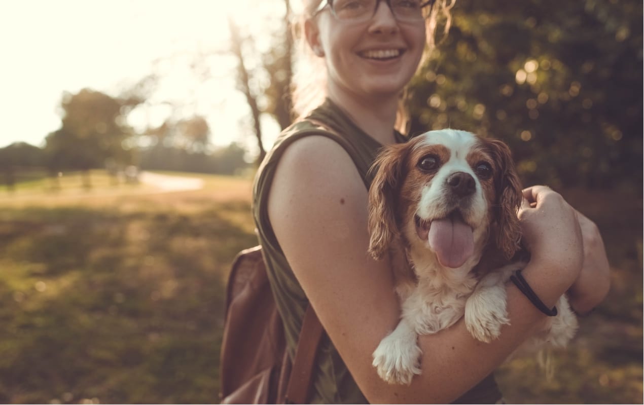 Person and dog 3