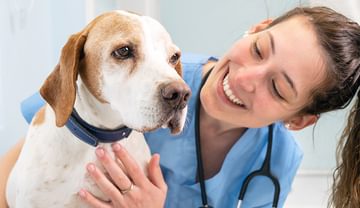Vet with dog